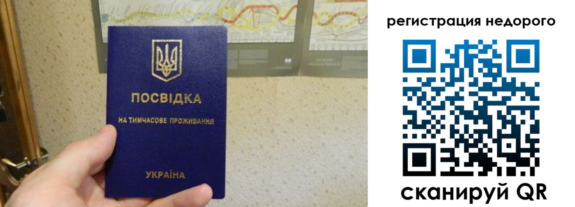 прописка для работы в Каменке